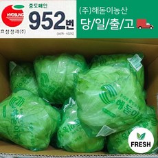 <해돋이농산> 국내산 포장 양상추 ( 특 ) 6통 12통