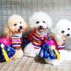 [앨리펫] 색동저고리강아지한복, 바지, 1개