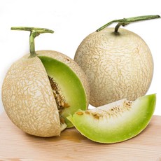 하니원멜론-추천-상품