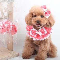 스윗에덴브론즈