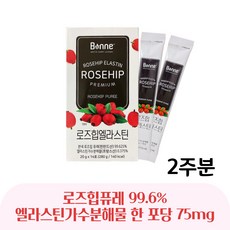 로즈힙퓨레스틱