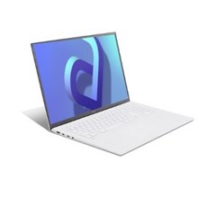 LG전자 2021 그램 17, 스노우화이트, 17ZD95P-GX56K, 코어i5 11세대, 1280GB, 16GB, WIN10 Home