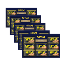 스팸 선물세트 12호 x 5세트