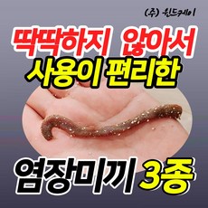 염장 혼무시 쫀쫀혼무시 소포장 국산 참갯지렁이 바다낚시 미끼, 쫀쫀혼무시 찌낚시용 (25조각 염장) 진공포장, 1개