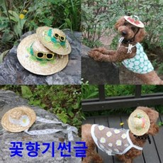 밀집모자헹거
