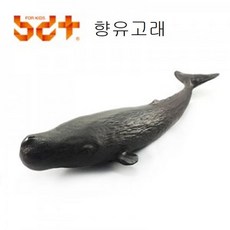 향유고래모형