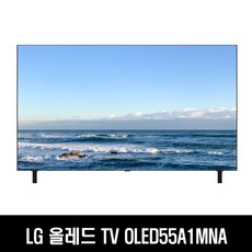lg올레드55형oled55a1mna