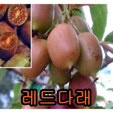 e7547c8c666f5ff6cdce20a777de7a363dc8eb469c75723c4bc6c10e5692.png