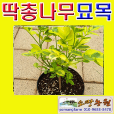 8d2010d2d8674dddd4d4604bfdb67eee1b9d801fc5e93c22ac642921b138.png