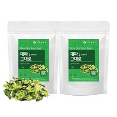 그대로말린 100% 국산 건조 대파 슬라이스 25g 2개