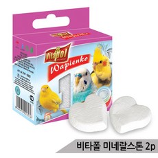비타폴 미네랄스톤 2p 칼슘 미네랄 영양제 미네랄블럭