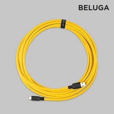 벨루가케이블