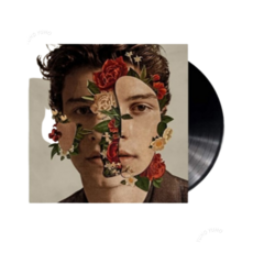 (LP)Shawn Mendes(숀 멘데스) - Shawn Mendes - menitrustlp