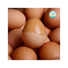 무항생제 구운계란 1+1 맥반석 60구 청라구운계란