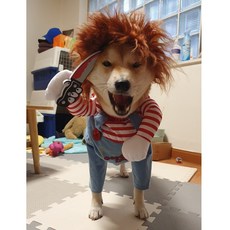 b009d1650611067b2f73bf67eefd8473a299ce2b21b46c5799b645ad2be5.jpg