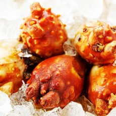 자연에서바로 통영 멍게 30년경력 활멍게 제철 3kg