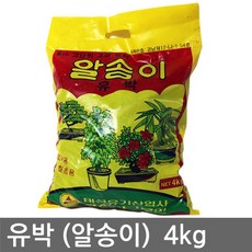 에스이알