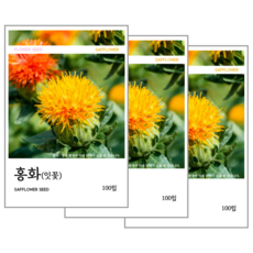 홍화씨(잇꽃) 씨앗 100립, 3개