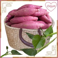 (주)다솜 세세척 선별 여주 고구마 긴하 하 2kg 5kg특 상 꿀고구마, 1개, 긴하2kg-1개