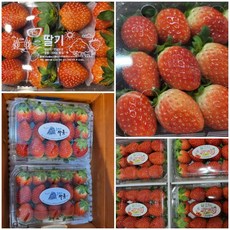 42f0c7cad3080ac4affb1c9cd847c0faaeb02b4e7c506ad91e2431d47f41.jpg