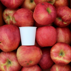 [재구매1위] 흠과사과 못난이사과 주스용사과 경북사과, 1개, 5kg 랜덤과