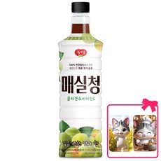 광야 매실청 음료베이스 (대순이 캐릭터 포토카드 증정), 1개, 970ml