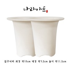 소엽풍란색화