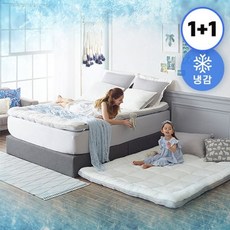 뱀부인견