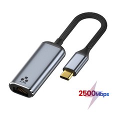 2.5G USB C 이더넷 어댑터 2500Mbps RJ45 네트워크 카드 선더볼트 3 랜 C타입-2.5 기가비트 맥북 노트북 PC 노트북용, 한개옵션1
