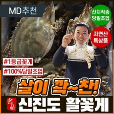 신진도