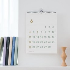 디자인월사하라라이트