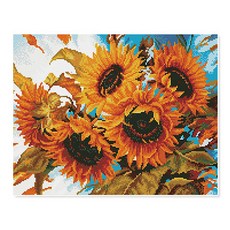 바람을길들인풍차소년