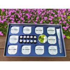 엠도시슈퍼리프팅