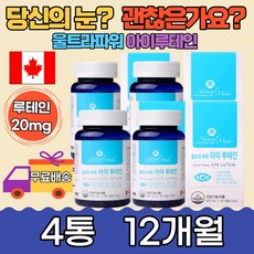 눈좋아지는법책