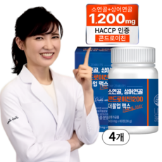내내옳음 콘드로이친 소연골 상어연골 보스웰리아, 4개, 60정