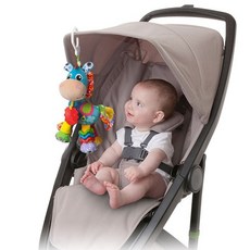 플레이그로디럭스