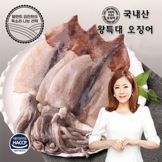 손질통오징어