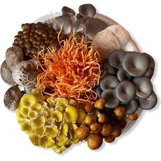 당일수확 강화도 산지직송 모듬버섯 세트 버섯전골 버섯샤브샤브, 8종 모듬버섯 (동충하초,노루궁뎅이포함) 1kg