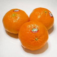 레드향솔림농원