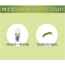 배추흰나비애벌레