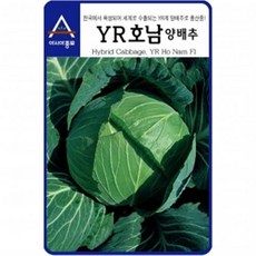 y-r0067