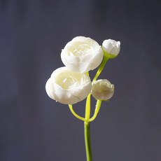 784540ea77041a3d3efb9ed3c48c97c7b089f1f3e5409ed2ef489141e439.jpg