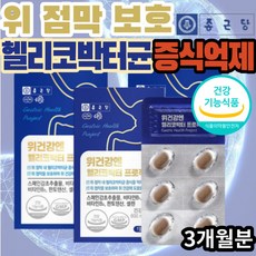 헬리코박터균한방