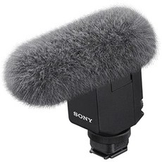 ecm-b10