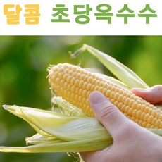 냉동초당옥수수