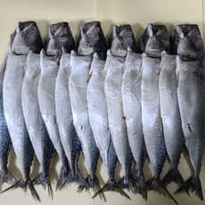 전자렌지고등어