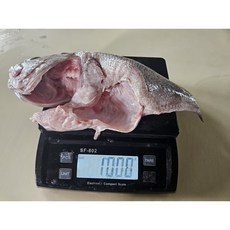 당일작업 급속냉동 국산 자연산 대우럭 손질전 1kg 반건조 약 500g 전후, 1개, 대형(손질전 500g)