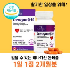 자이글원큐