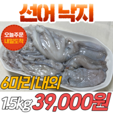 산낙지국내산