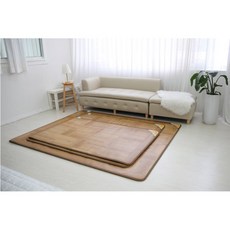 lg모노륨탄소매트대형